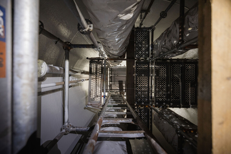 Dion Doornik 4K9A7099